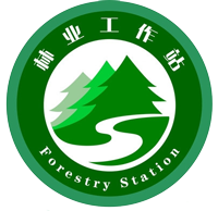 1615626201292357.png 1615626201292357.png