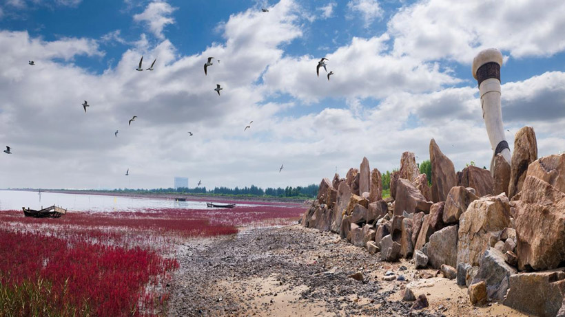 1676431583393312.jpg 1676431583393312.jpg